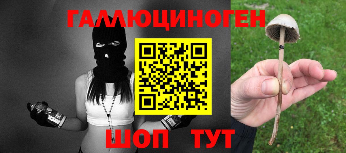 Галлюциногенные грибы Psilocybe Юрга